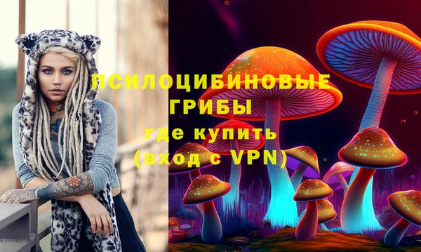 каннабис Аркадак