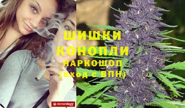 каннабис Аркадак