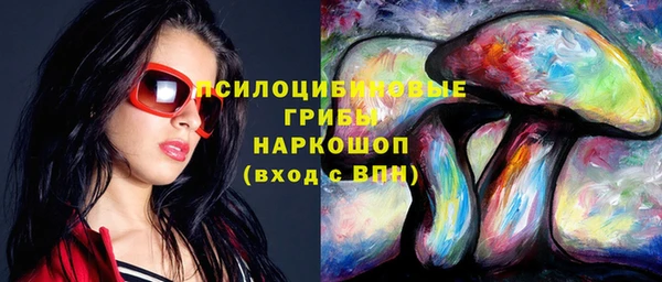 каннабис Аркадак