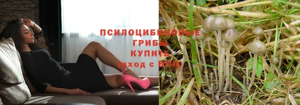 каннабис Аркадак