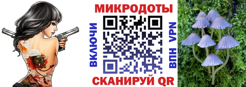 Купить  Тобольск  Галлюциногенные грибы Cubensis 
